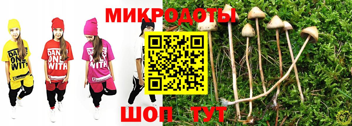 Саратов  Псилоцибиновые грибы MAGIC MUSHROOMS  Псилоцибиновые грибы мухоморы  Вход с VPN 
